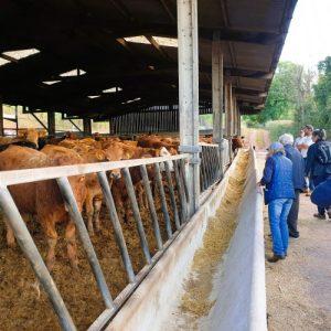 We research and advocate ways to reduce the carbon footprint of our local food