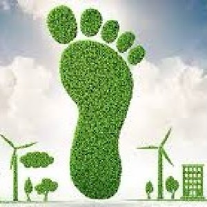 Our self-guided entry level tool.