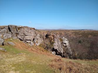 A burning issue for Dartmoor