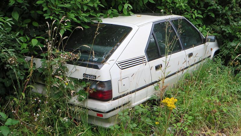 I thought my diesel car would have to go