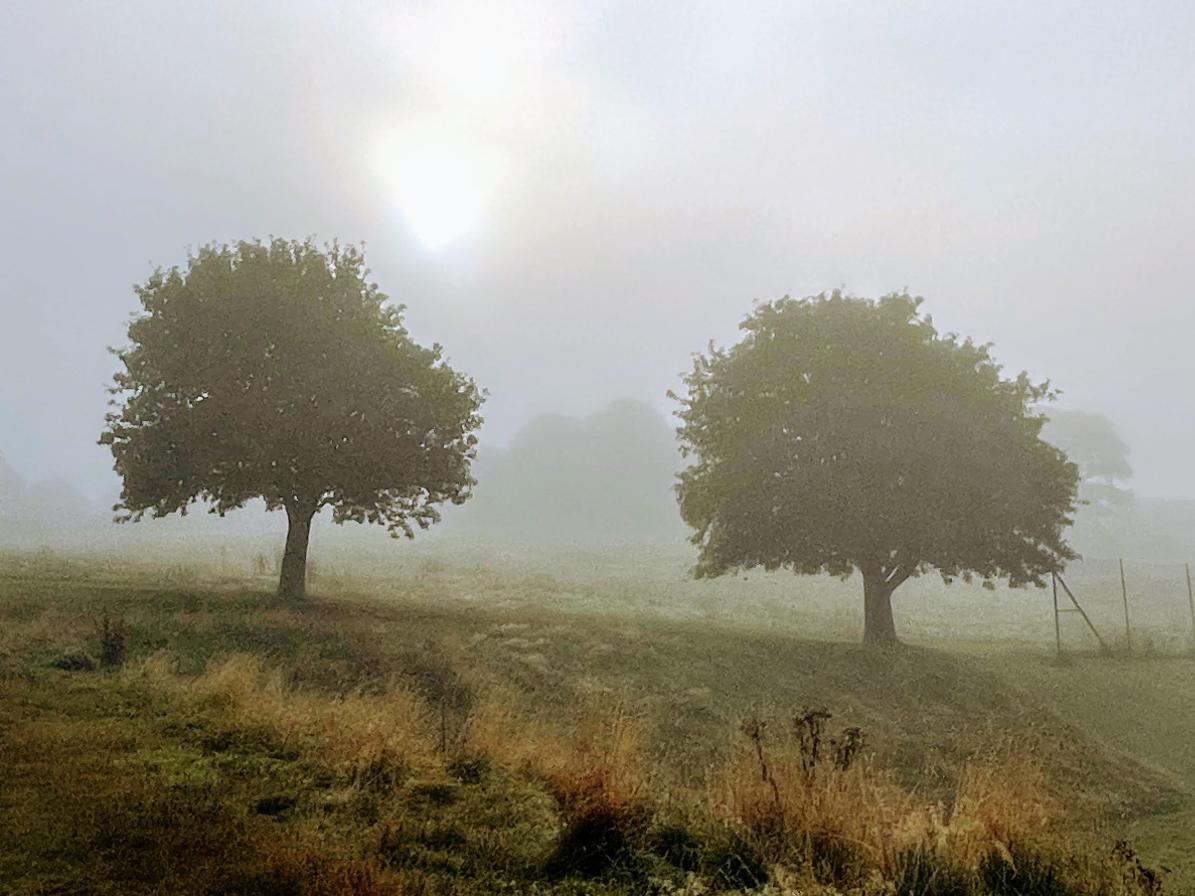 September 2021 Newsletter