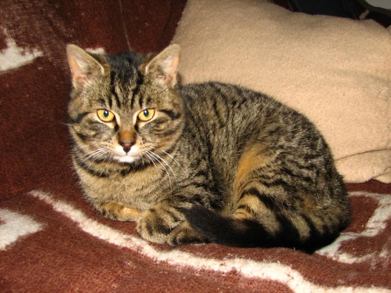 Wildlife Warden Podcast Episode 7