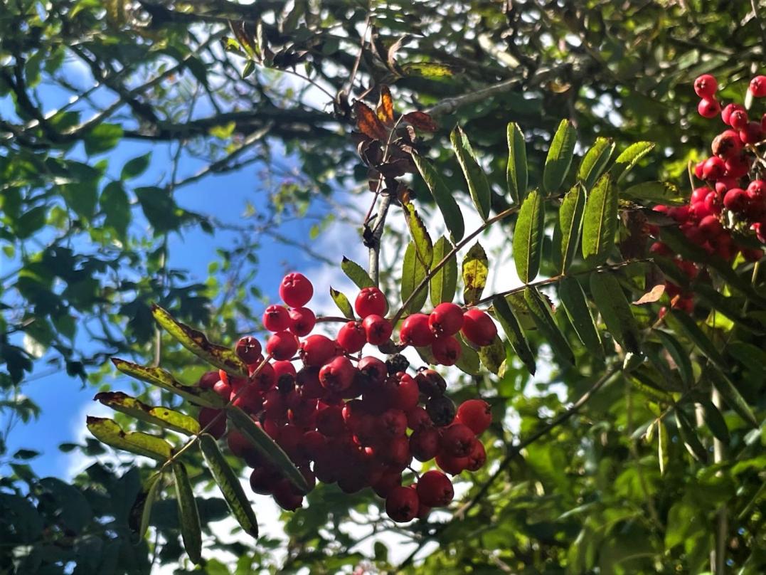 September 2023 Newsletter