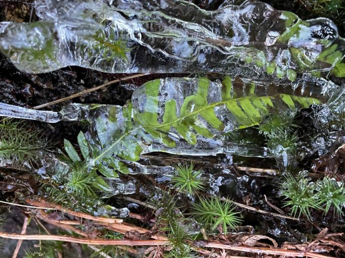 January 2024 Newsletter