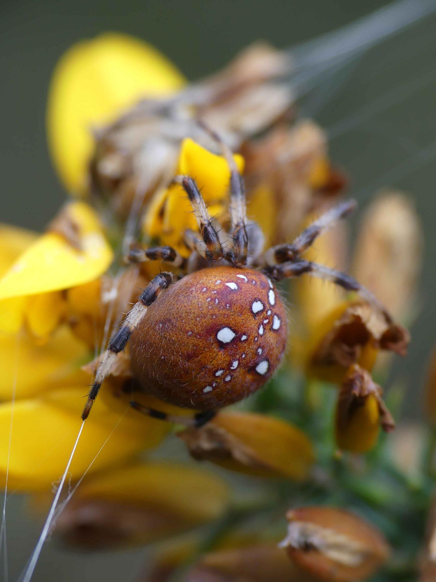 October 2024 Newsletter