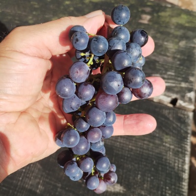 Energy group meeting notes (28.08.2025)