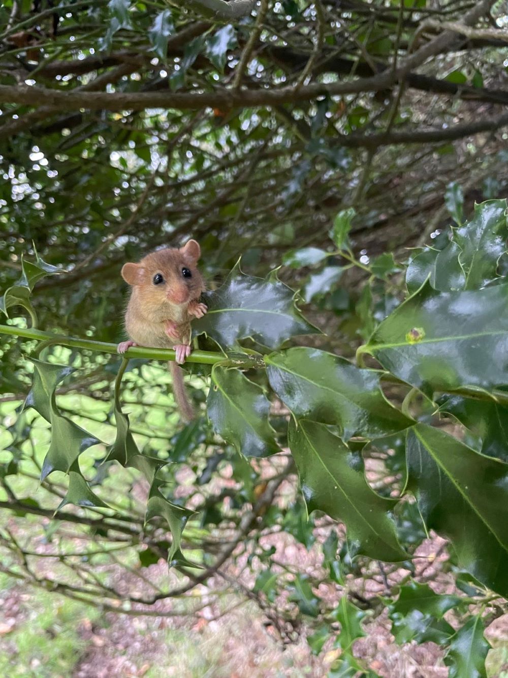 Winter 2025 Newsletter