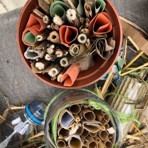 Find helpful info here to help support projects and learning