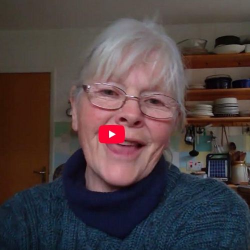 Learn what the CFT is and what information you need before using it.