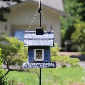 See Energy case studies