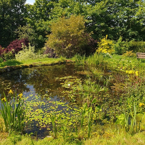 How to make a pond, start an orchard, survey a hedge, and more 