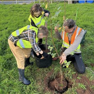 Habitat creation, County Wildlife site surveys, and much more