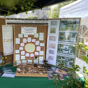 Find out more about becoming a Wildlife Warden for your parish