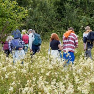 We train and support volunteers to help wildlife in their local areas.