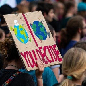 ACT's activities and action groups