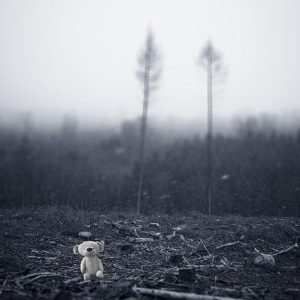 what are the causes and consequences?