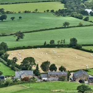 More about food, farming, forestry and fisheries.